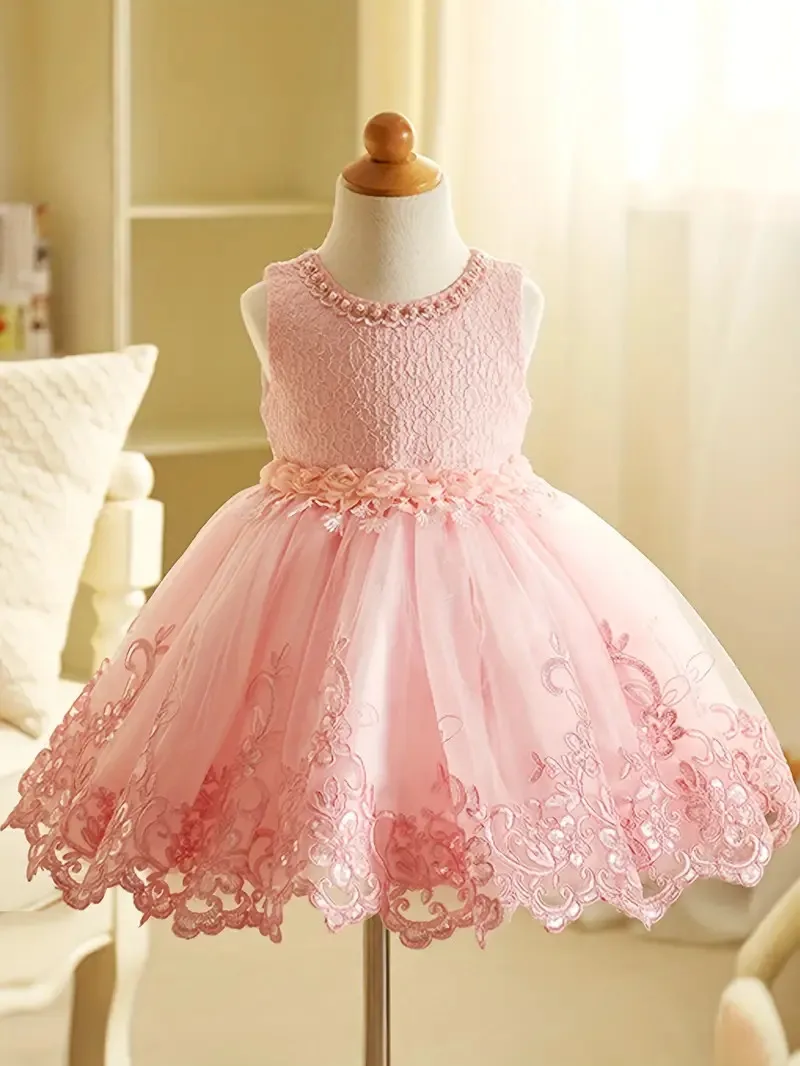 Baby Girls 1 Year Birthday Princess Party Flowers Baptism Dress Infant Embroidery Floral Sleeveless Costume Newborn Kids Clothes