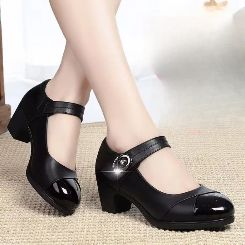Spring/autumn New Pointed Head Square with Solid Color Thick Heel Shoes Fashion Comfortable Sexy Casual Banquet Women's Shoes