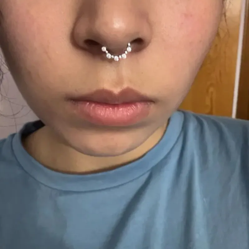 ASTM F-136 Titanium EAR Nose Ring PIERC CZ Surround Segment Ring  Hoop Face Hinged Clicker Labret Ear wheel Cartilage Piercing