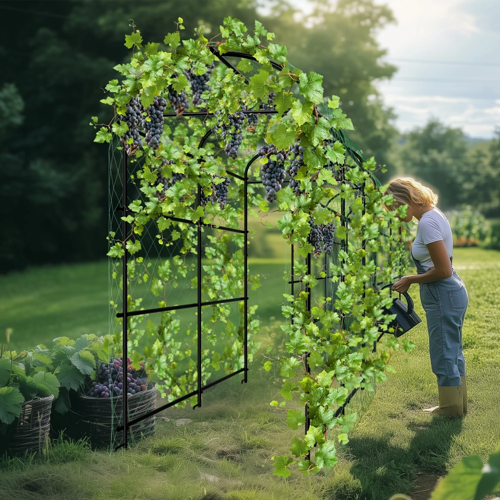 U-Shaped Metal Tall Garden Plant Trellis Grow Support Frame for Climbing Plants Vegetables