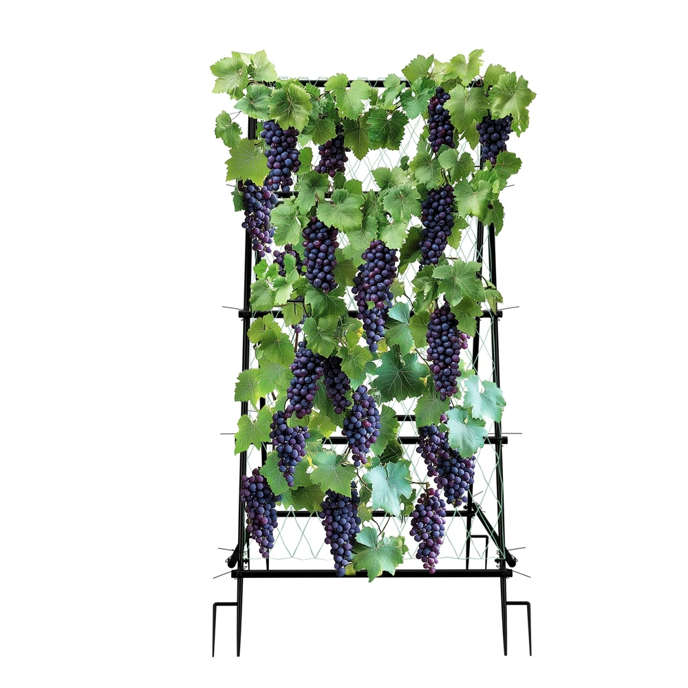 Metal A-Shaped Plant Vegetable Climbing Trills Garden Flower Arch Trellis with Nylon Netting