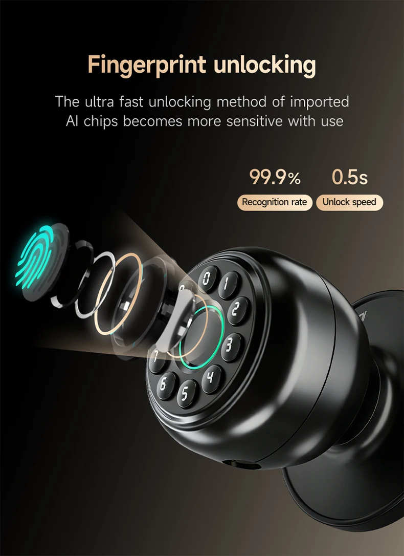ICCSSI Spherical Lock Tuya Smart Lock Digital Electronic Lock Unlock Fingerprint/Password/Key/Bluetooth for Airbnb Home K10CPLUS
