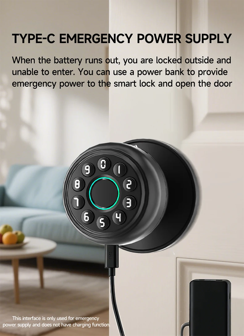 ICCSSI Spherical Lock Tuya Smart Lock Digital Electronic Lock Unlock Fingerprint/Password/Key/Bluetooth for Airbnb Home K10CPLUS