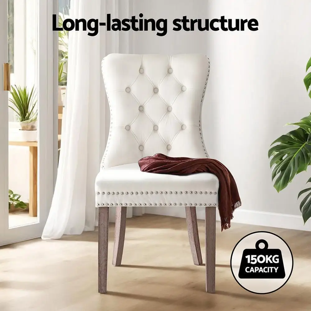 Modern Beige Velvet Dining Chairs Set of 2 Upholstered Accent Side Chairs with Sturdy Metal Legs for Kitchen Living Room Dining Room