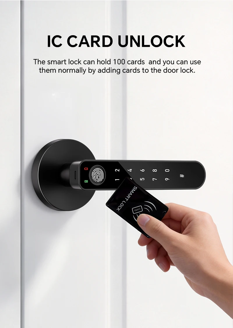 ICCSSI Smart Door Lock Fingerprint Lock Fingerprint/Tuya APP/Password/IC Card/key Unlock Shipping from Australia B208APRO
