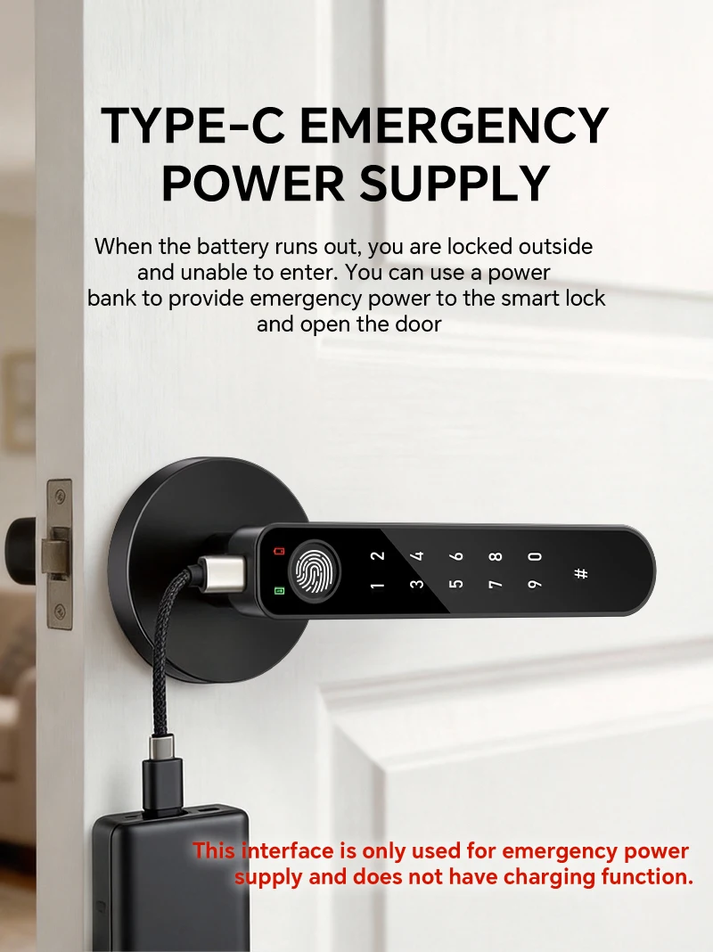 ICCSSI Smart Door Lock Fingerprint Lock Fingerprint/Tuya APP/Password/IC Card/key Unlock Shipping from Australia B208APRO