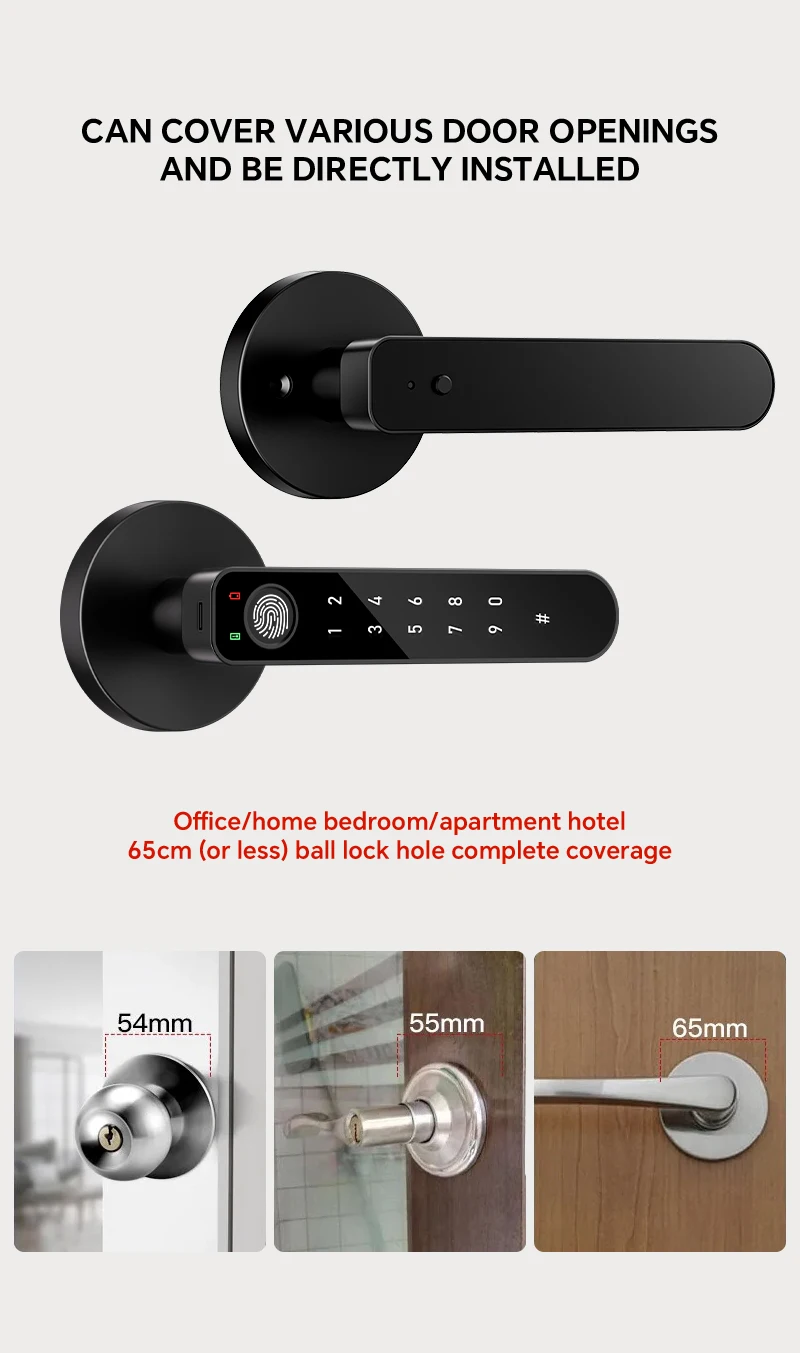 ICCSSI Smart Door Lock Fingerprint Lock Fingerprint/Tuya APP/Password/IC Card/key Unlock Shipping from Australia B208APRO