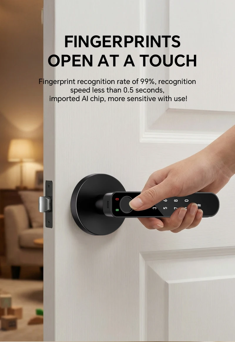 ICCSSI Smart Door Lock Fingerprint Lock Fingerprint/Tuya APP/Password/IC Card/key Unlock Shipping from Australia B208APRO