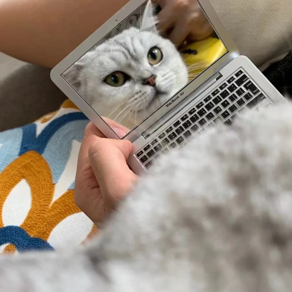 Mini Dollhouse Toy Cat Laptop Tiny Fake Computer Mirror for Cat (sliver) Interactive Cat Toy Creative Product For Kitten
