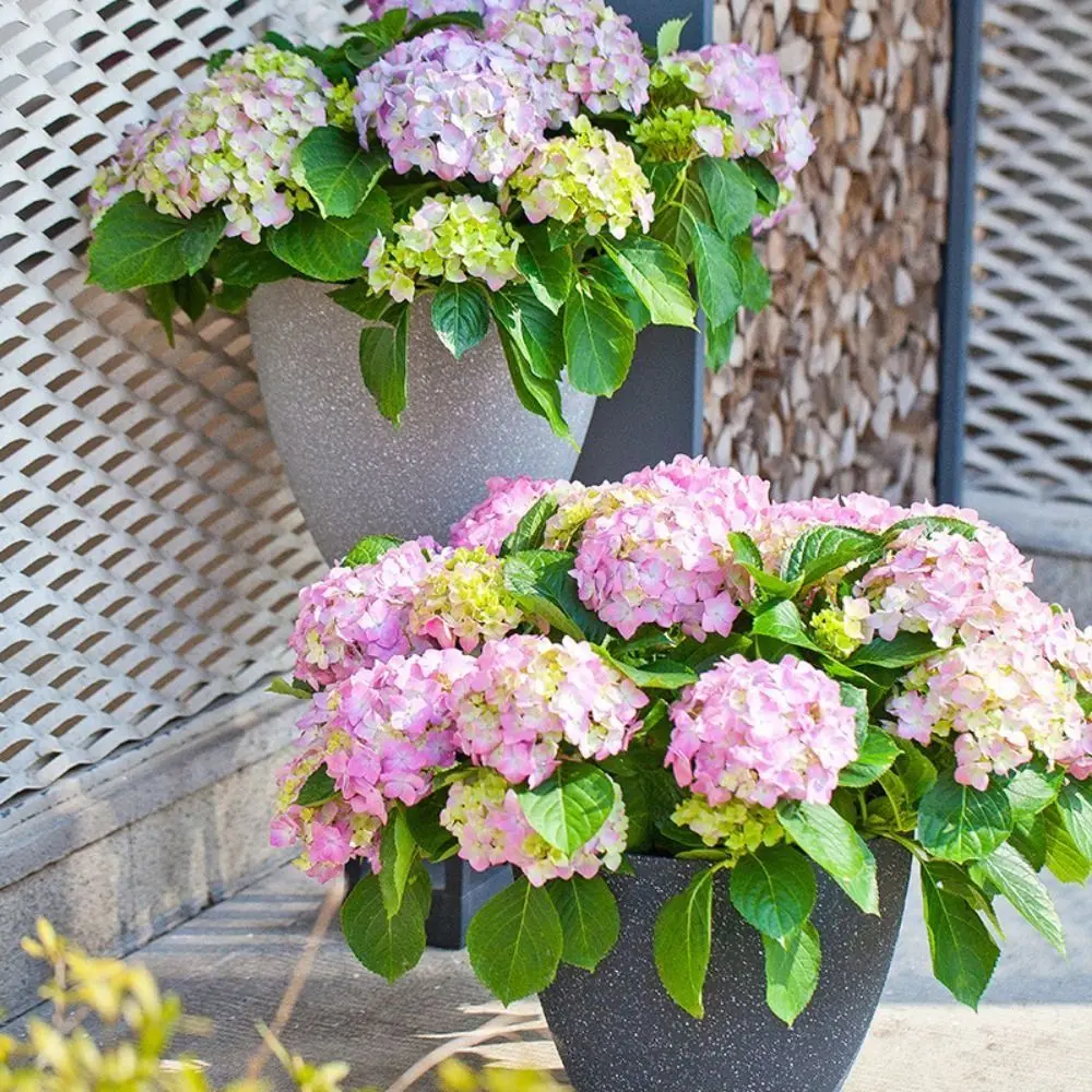 Frosted Imitation Stone Flower Pots Gardening Flowers Green Plant Pots European Style Thickened and Durable Plastic Flower Pots
