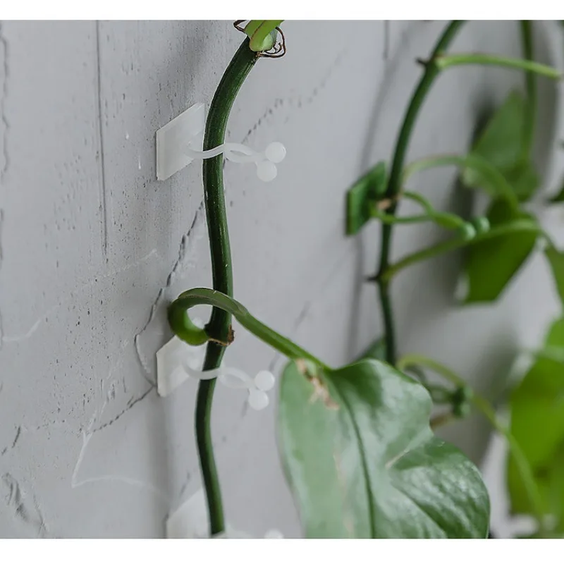 10pcs/set Plant and Green Plant Fixer, Green Basket Vine Climbing, Wall Hanging Style Household Universal Hook Plant Trellis