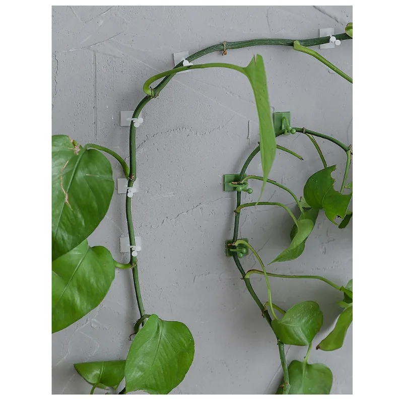 10pcs/set Plant and Green Plant Fixer, Green Basket Vine Climbing, Wall Hanging Style Household Universal Hook Plant Trellis