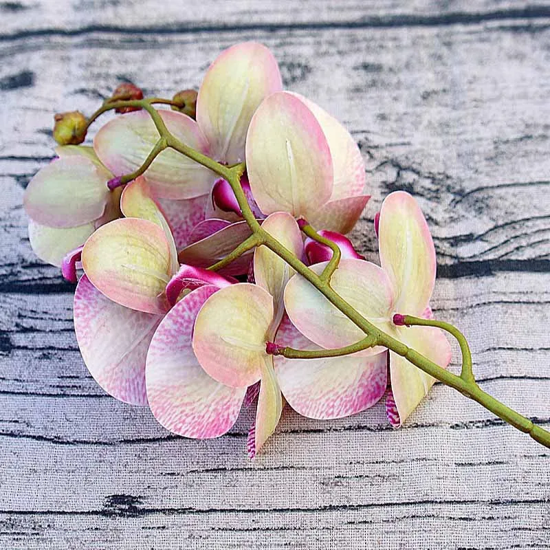 Artificial Phalaenopsis 3D Small Butterfly Orchid 6 Heads Fake Flower Home Drapery Wall Wedding Decoration Festival Diy Wreath