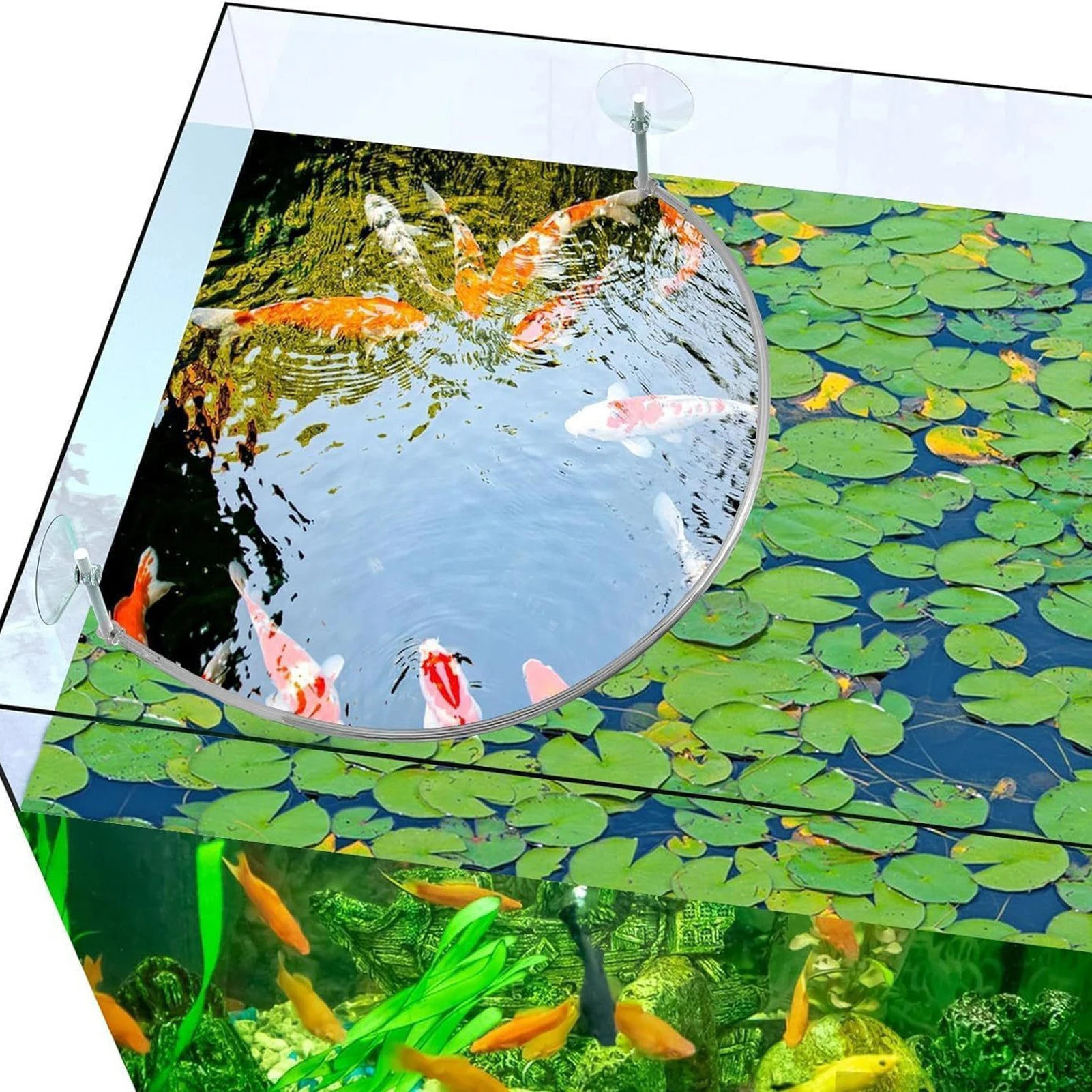 Fish Tank Floating Plant Fence Improve aquarium Water Quality Fence Plant Enclosure Interceptor Hose Length: 25.6inch