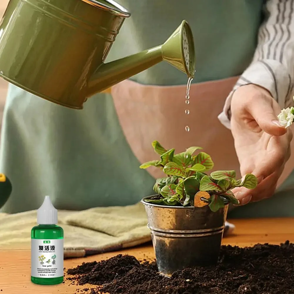 Plant Revitalizer Resurrection Liquid 50ml Fertilizing Liquid Concentrate Fertilizing Liquid Concentrate Plant Promotes Growth