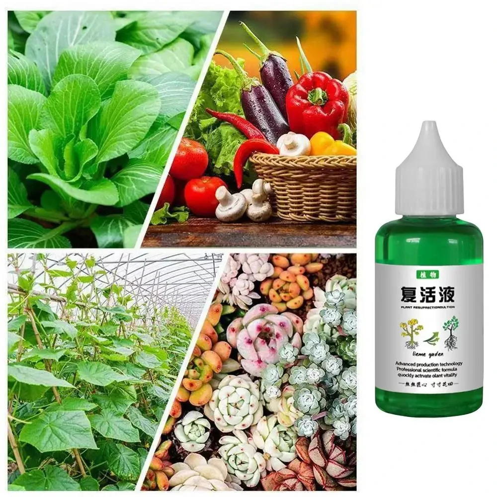 Plant Revitalizer Resurrection Liquid 50ml Fertilizing Liquid Concentrate Fertilizing Liquid Concentrate Plant Promotes Growth