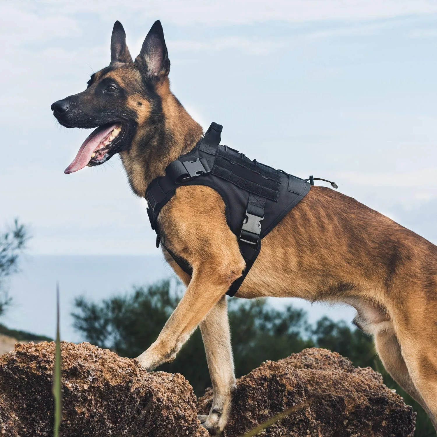 Dog Harness,Tactical Dog Harness with Handle,No-Pull Service Dog Vest with Hook & Loop Panels,Adjustable Dog Vest Harness for Wa