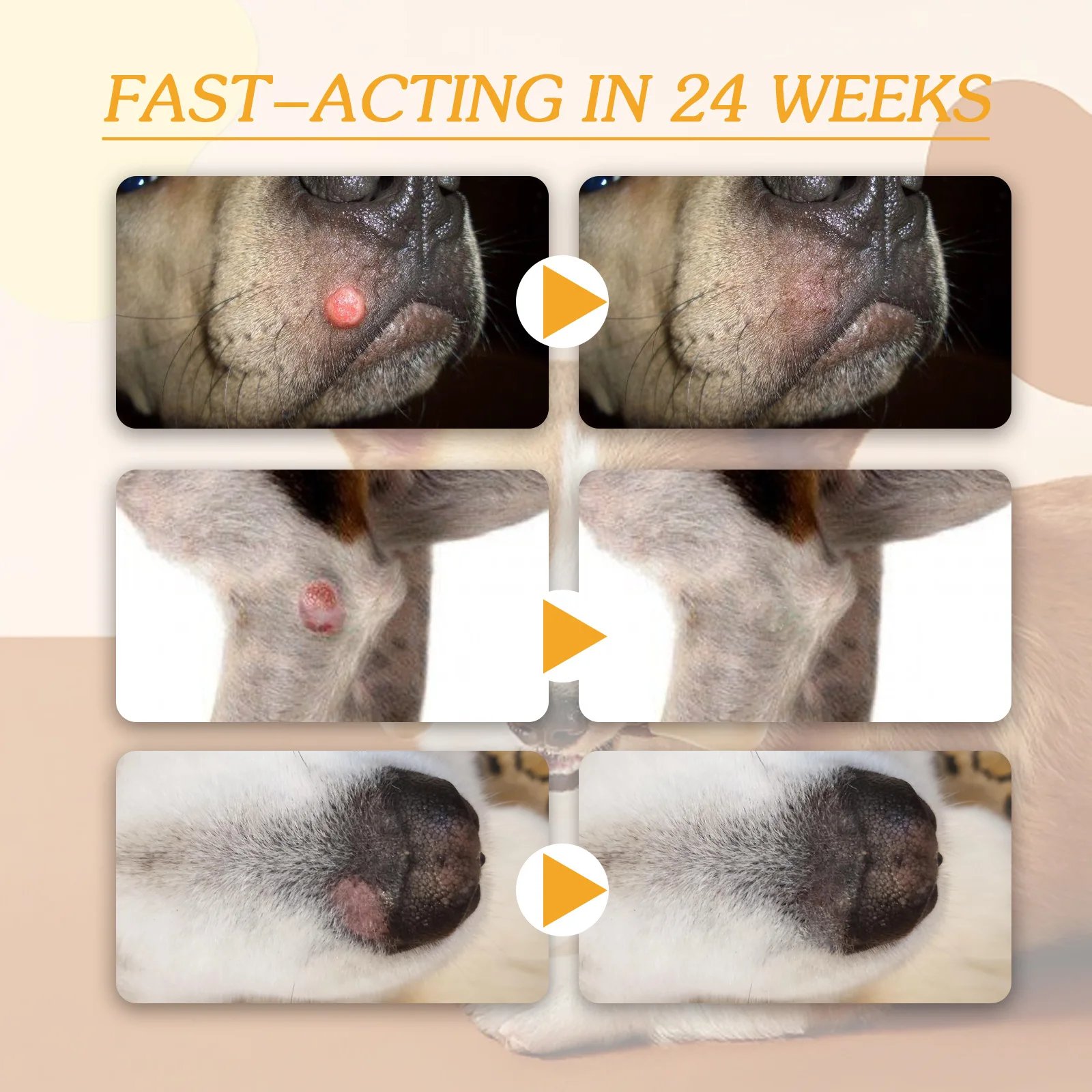 Pet Removal Wart Cream Diminish Skin Moles Corns Nourish Skin Wart Treatment Alleviate Discomfort No Irritation Pet Repair Cream