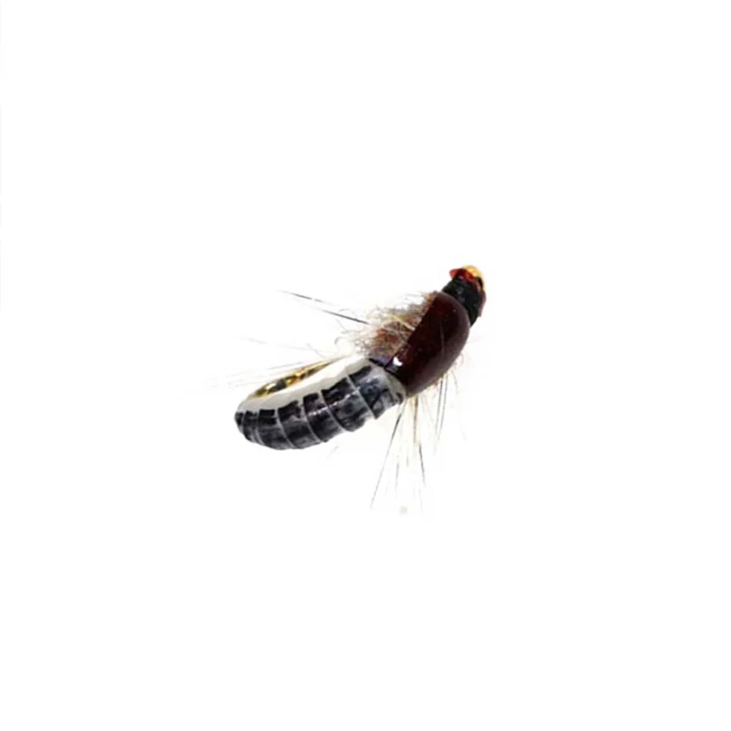 Fishing Lures-6/9Pcs/Box Realistic Nymph Scud Fly for Trout Fishing Fly Tying Artificial Bait Lure