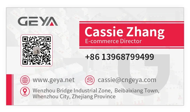 GEYA G2R Din Rail 2P 4P ATS Dual Power Automatic Transfer Switch Electrical Selector Switches Uninterrupted Power 63A 110V 220V
