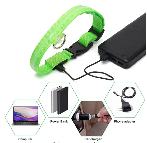 Usb Charging Glowing Dog Collar With Pendant Detachable Luxury Led Light Bright For Small Dogs Cat Night Safety Collar Wholesale