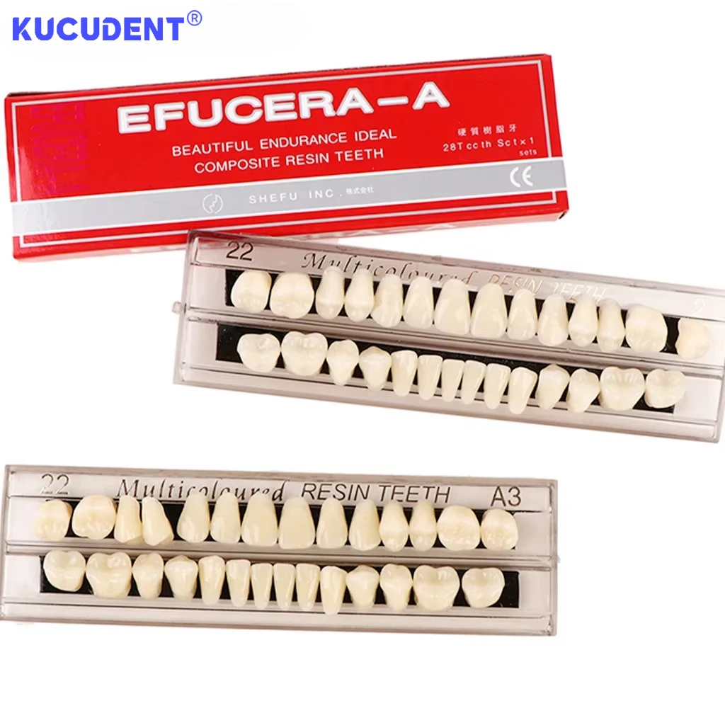 28teeth Resin Denture Teeth Dental Synthetic Resin Teeth Teeth Teaching Model Permanent Teeth Model Dental Material