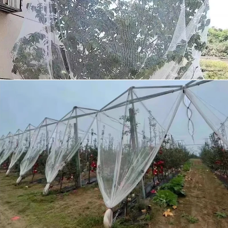 Orchard Anti Hail Net Fish Pond Anti Bird Net Goji Berry Cherry Grape Net Greenhouse Hail Net Locust and Debris Protection