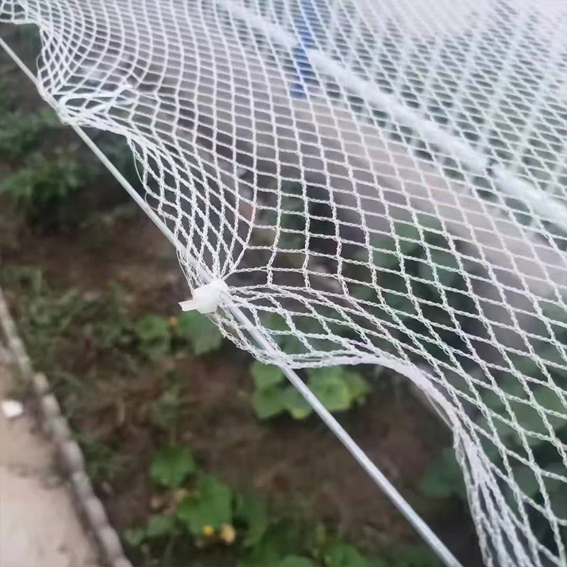 Orchard Anti Hail Net Fish Pond Anti Bird Net Goji Berry Cherry Grape Net Greenhouse Hail Net Locust and Debris Protection