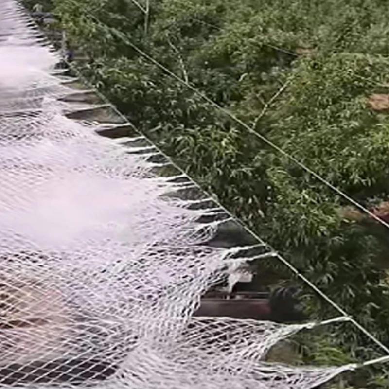 Orchard Anti Hail Net Fish Pond Anti Bird Net Goji Berry Cherry Grape Net Greenhouse Hail Net Locust and Debris Protection