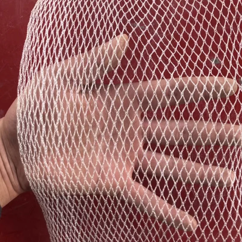 Orchard Anti Hail Net Fish Pond Anti Bird Net Goji Berry Cherry Grape Net Greenhouse Hail Net Locust and Debris Protection