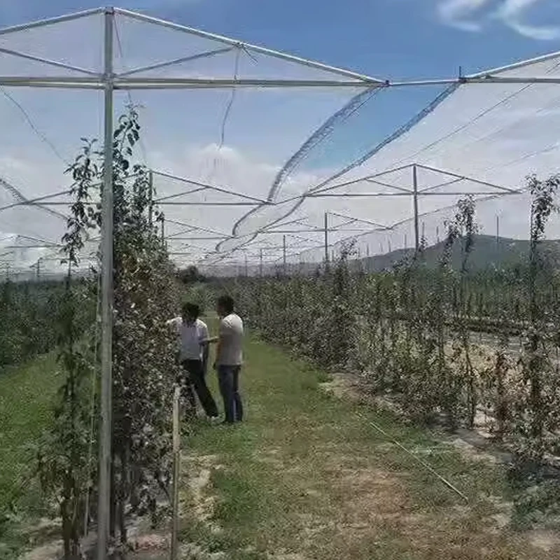 Orchard Anti Hail Net Fish Pond Anti Bird Net Goji Berry Cherry Grape Net Greenhouse Hail Net Locust and Debris Protection