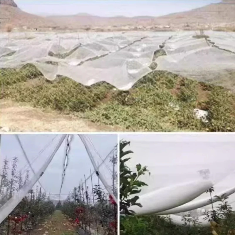 Orchard Anti Hail Net Fish Pond Anti Bird Net Goji Berry Cherry Grape Net Greenhouse Hail Net Locust and Debris Protection