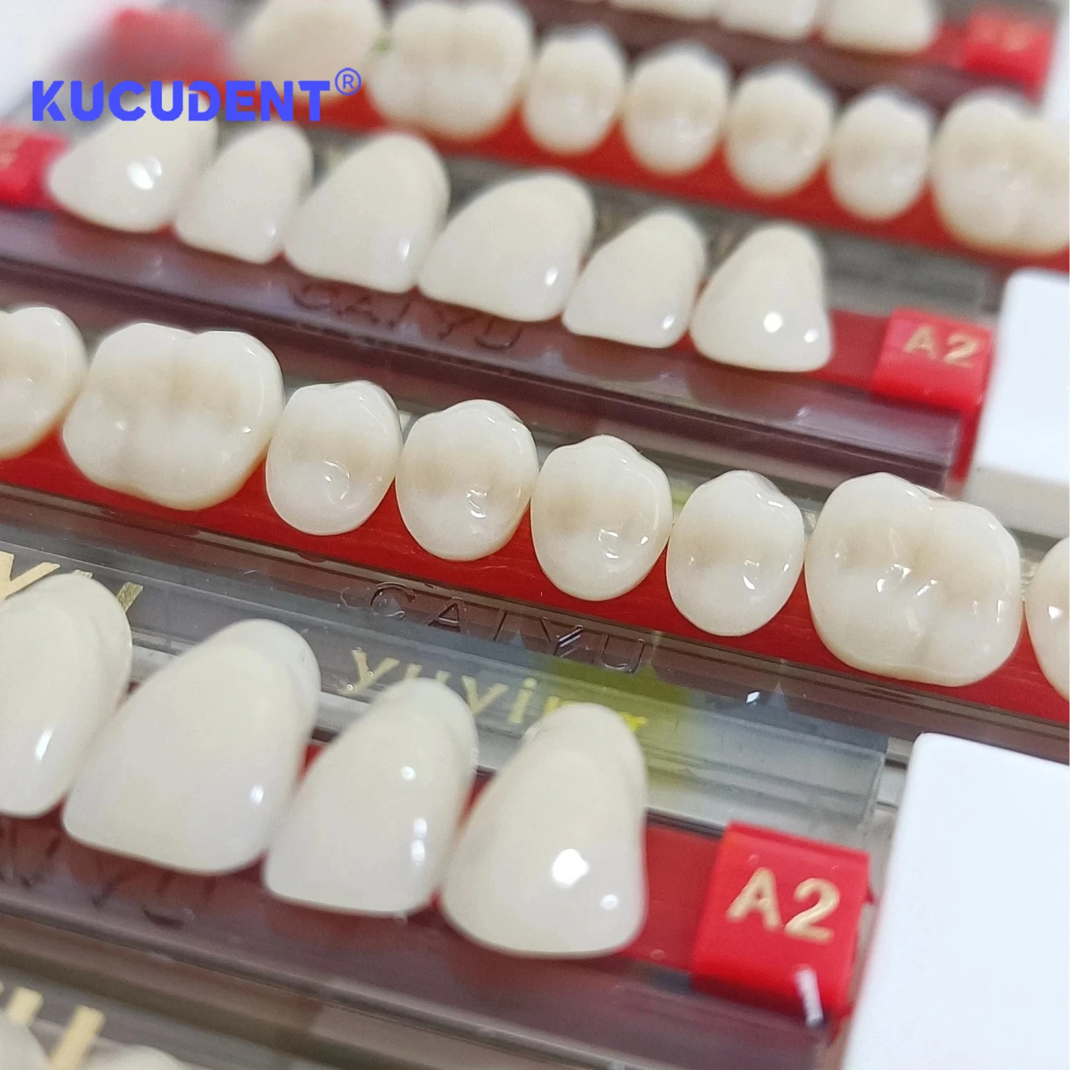 84 Pcs/Set Dental Acrylic Resin Teeth - Full Upper & Lower Denture Set A1/A2/A3 Shades for Dentists Lab | S/M/L Sizes
