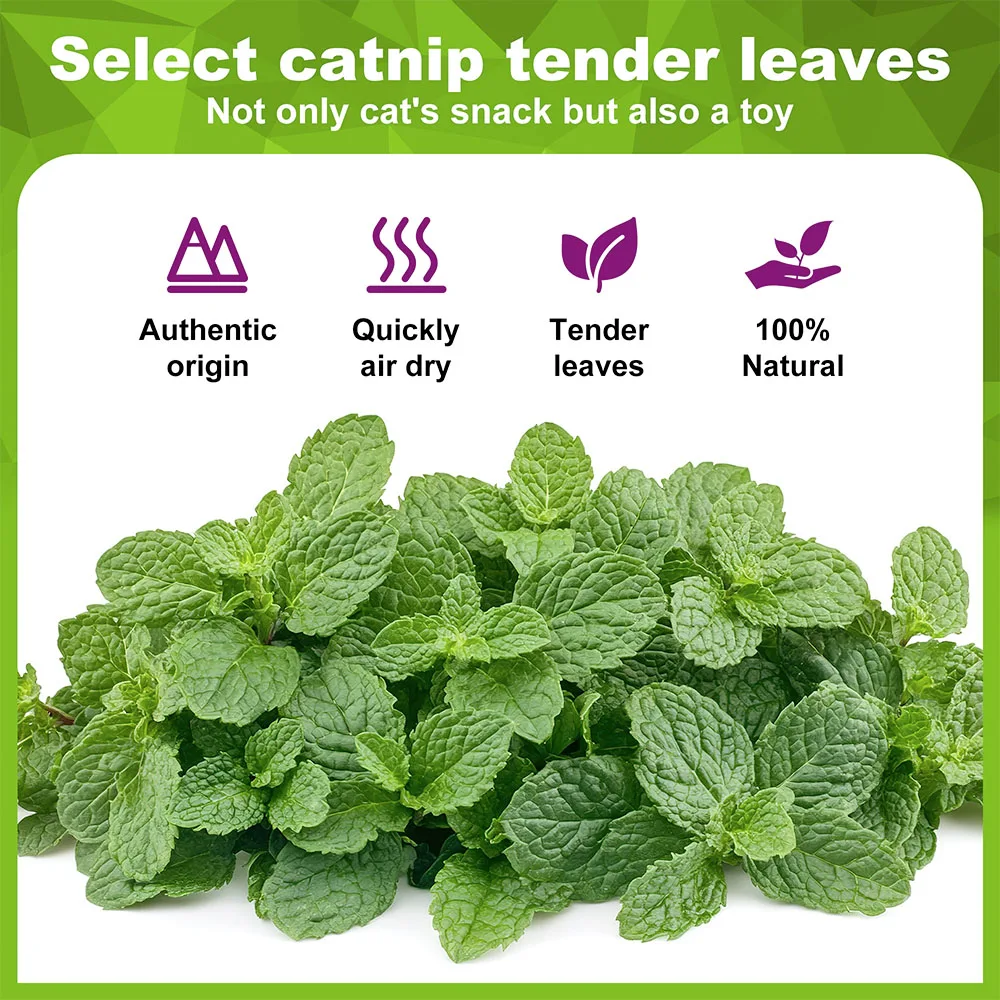 Organic 100% Natural High Quality Catnip Cattle Grass Mint Taste Funny Cat Toy New Cat Toy Interactive Cat Toys Pet Supplies