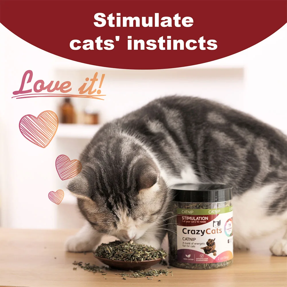 Organic 100% Natural High Quality Catnip Cattle Grass Mint Taste Funny Cat Toy New Cat Toy Interactive Cat Toys Pet Supplies
