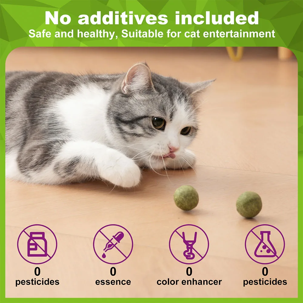 Organic 100% Natural High Quality Catnip Cattle Grass Mint Taste Funny Cat Toy New Cat Toy Interactive Cat Toys Pet Supplies