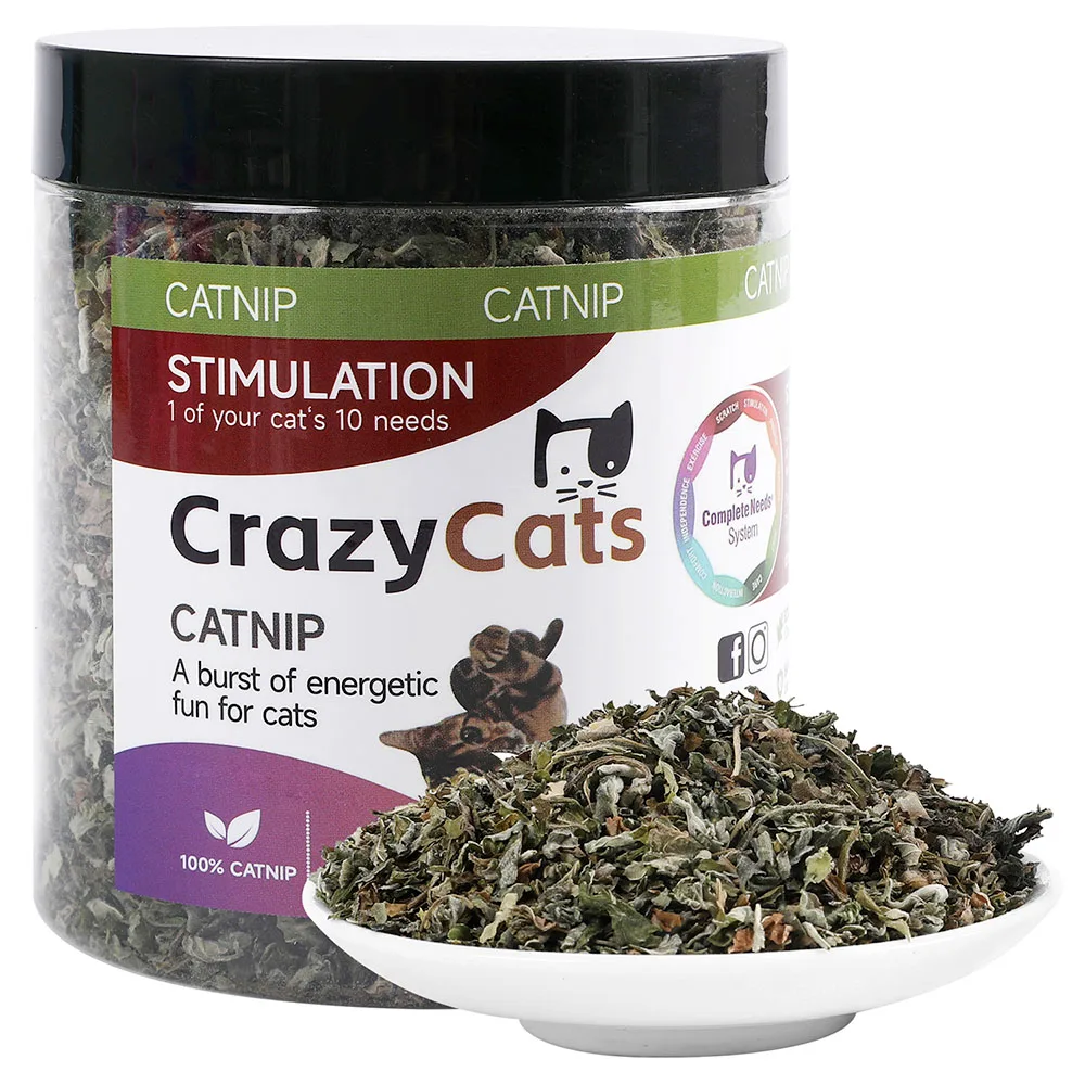 Organic 100% Natural High Quality Catnip Cattle Grass Mint Taste Funny Cat Toy New Cat Toy Interactive Cat Toys Pet Supplies