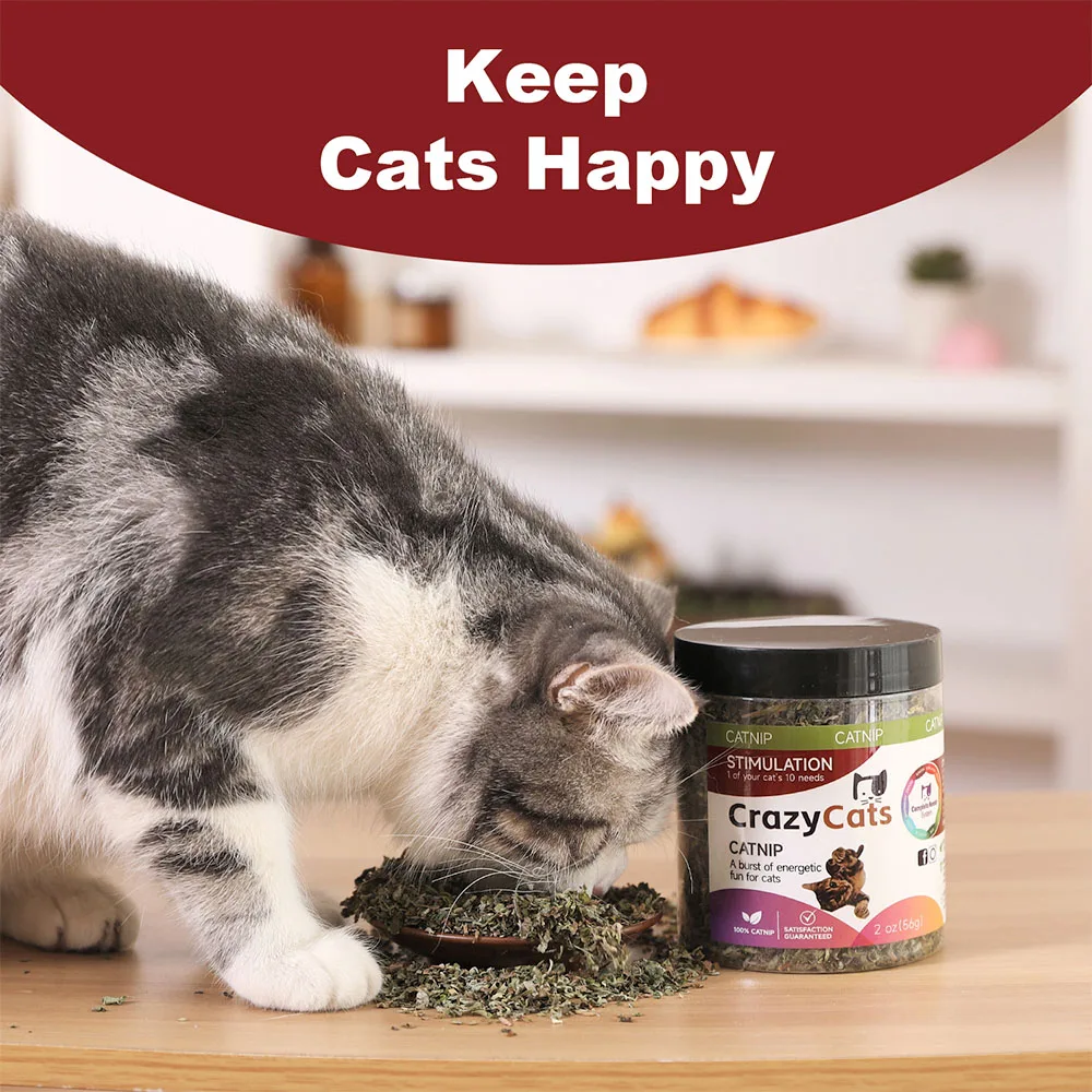 Organic 100% Natural High Quality Catnip Cattle Grass Mint Taste Funny Cat Toy New Cat Toy Interactive Cat Toys Pet Supplies