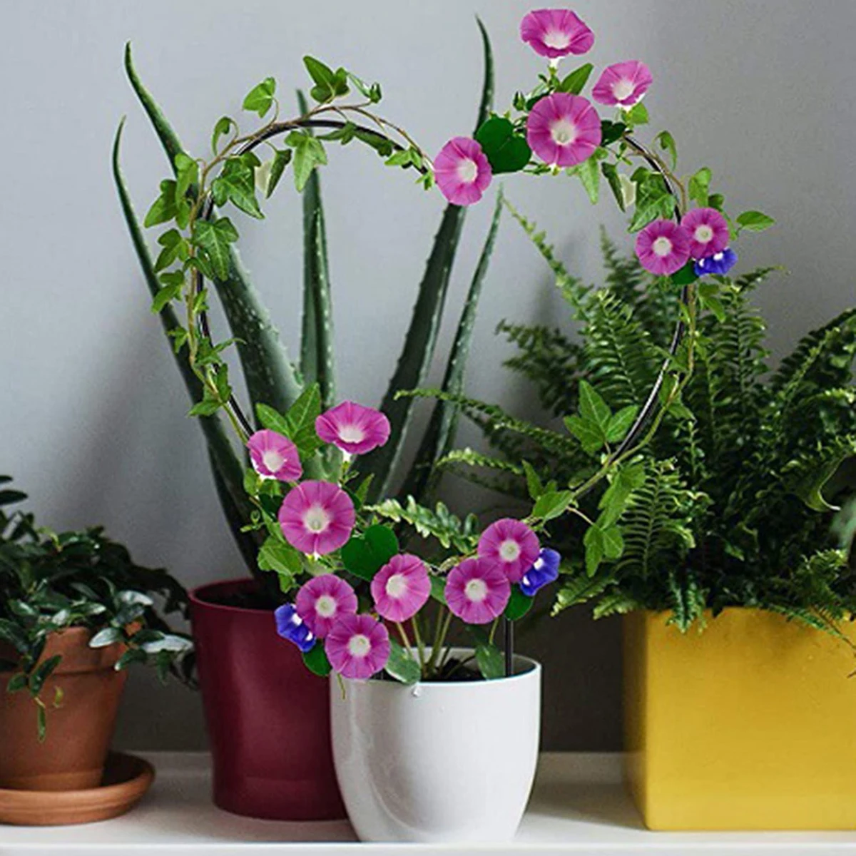 Garden Trellis Plant Iron Climbing Plant Support With Black Rust Proof Coating For Indoor Flower Vine Trellis For Decoration