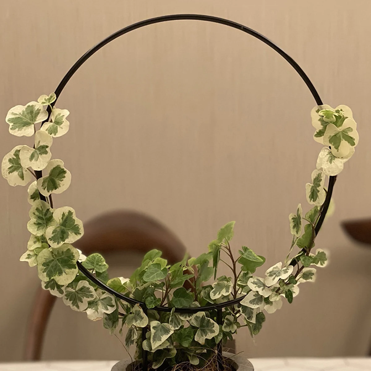 Garden Trellis Plant Iron Climbing Plant Support With Black Rust Proof Coating For Indoor Flower Vine Trellis For Decoration