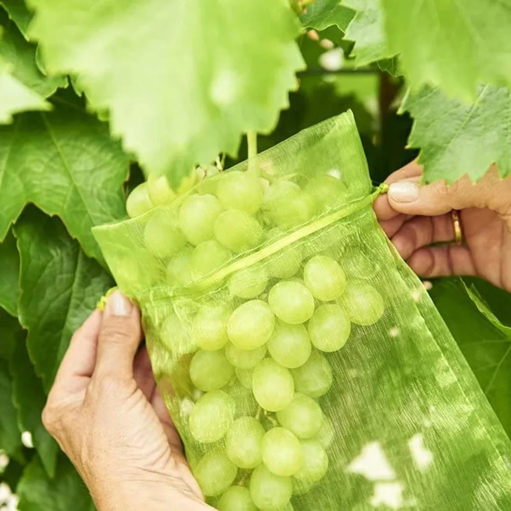 50/100Pcs Fruit Protection Netting Bags with Drawstring Reusable Grape Grow Bags Strawberry Cover Mesh Bags for Pest Control