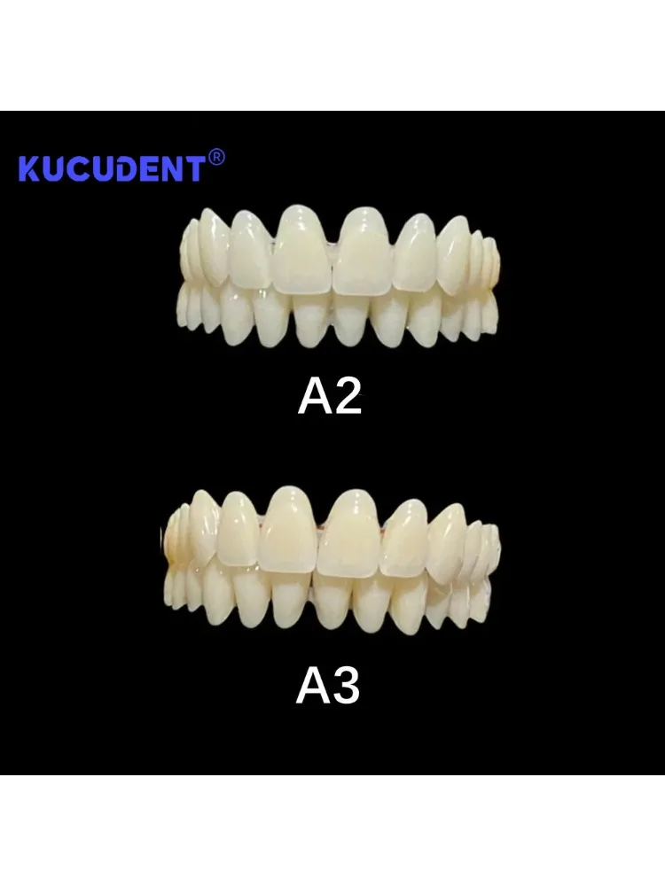 1Pair/Box Resin Denture Teeth Set - Complete DIY False Teeth for Dental Education & Training Models (Upper and Lower)