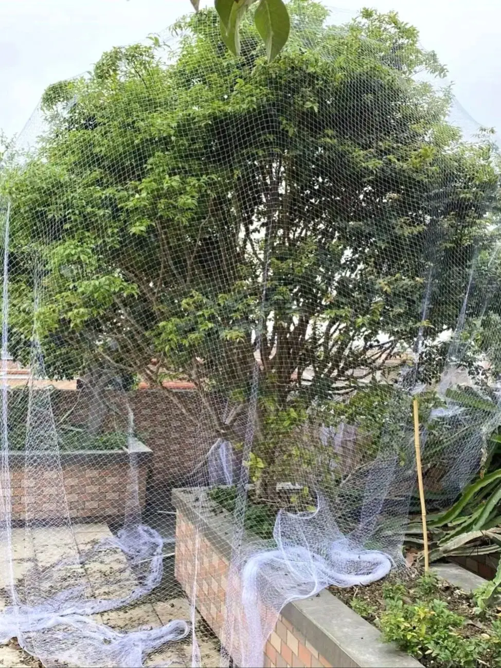 Heavy Duty Nylon Bird Proof Net, Multi-Purpose Chicken Coop and Garden Net, Durable Squirrel Barrier - Easy to Install