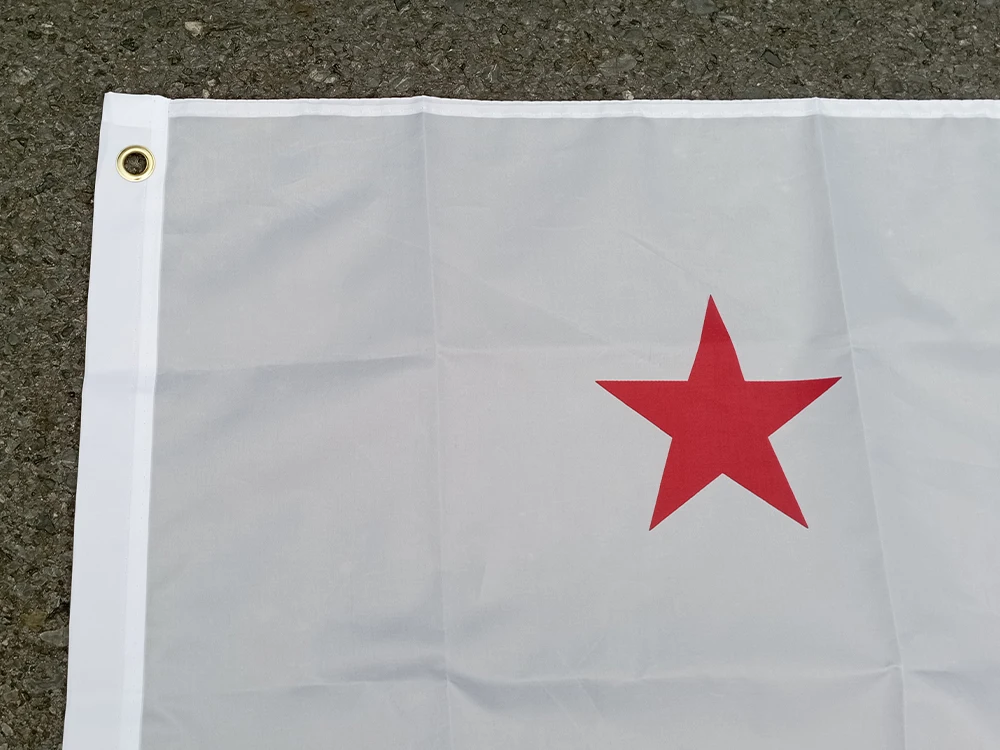 Aerxemrbrae 90X150cm New California Flag Double Side Printed Polyester Hanging New California Republic Flag for Decoration