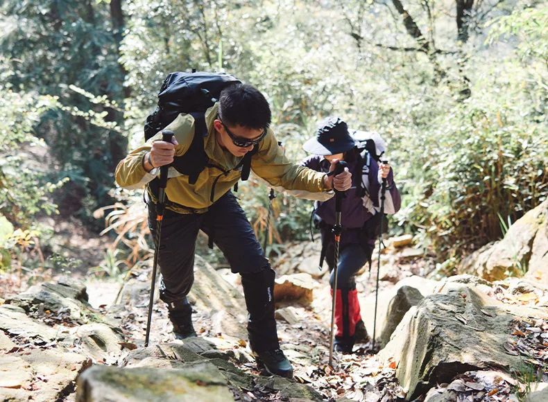 Naturehike Carbon Fiber Trekking Poles 5 Sections Portable Folding Climbing Sticks Outdoor Hiking Collapsible Walking Sticks