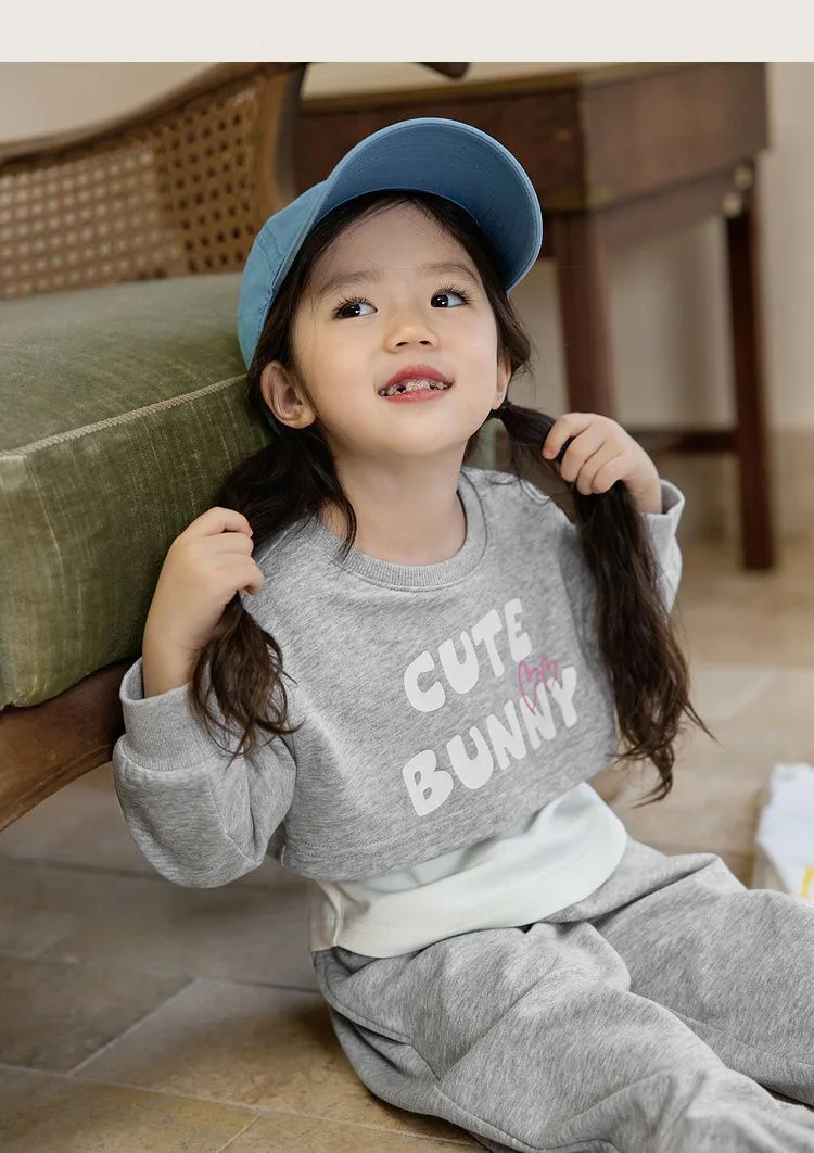 Spring Autumn New Style Children's Clothing Sets Baby Girls O Neck Sweatshirt Pants Two Piece Set Kids Breathable Thin Tracksuit