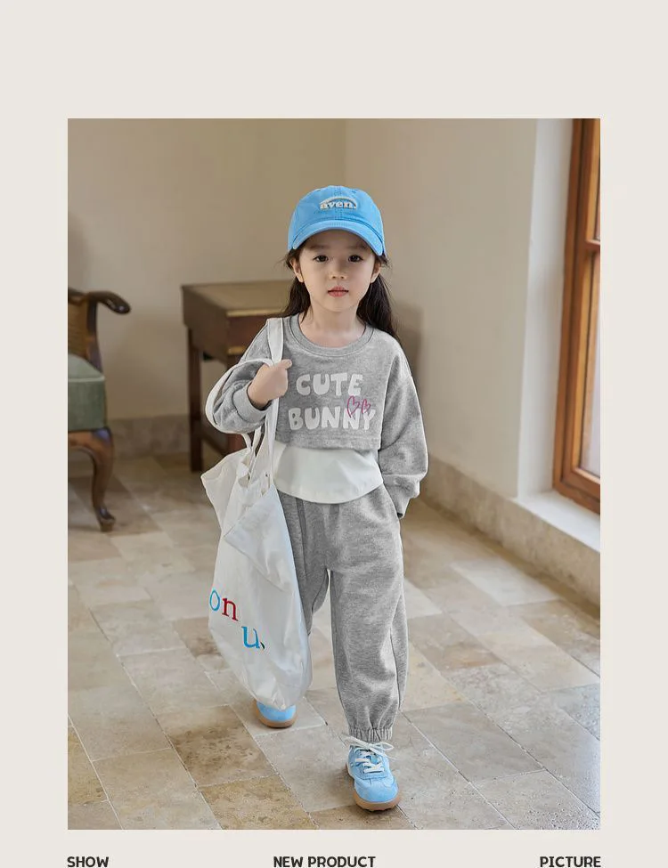 Spring Autumn New Style Children's Clothing Sets Baby Girls O Neck Sweatshirt Pants Two Piece Set Kids Breathable Thin Tracksuit
