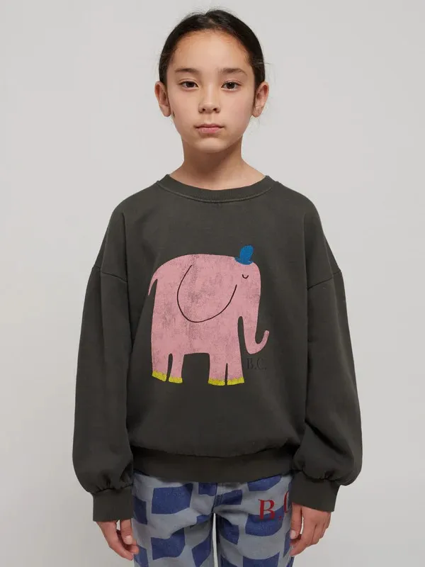 Korean INS 2024 Children's Autumn Winter Long Sleeve O-Neck Sweatshirt Cute Tops for Girls And Boys Baby Sweaters Kids Clothing