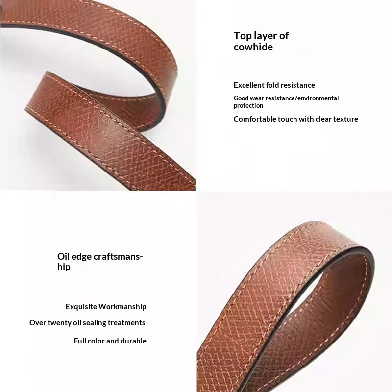 Leather Bag Shoulder Strap for Longchamp Terra Short Handle Small Bag Modification Without Punching Strap Bag Accessories