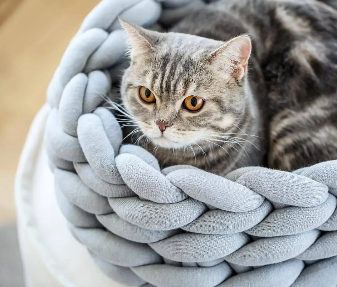 Super Cat Bed Warm Sleeping Cat Nest Soft Long Weave Strap Pet Dog Bed for Dogs Basket Cushion Cat Bed Cat Mat Animals Sleeping